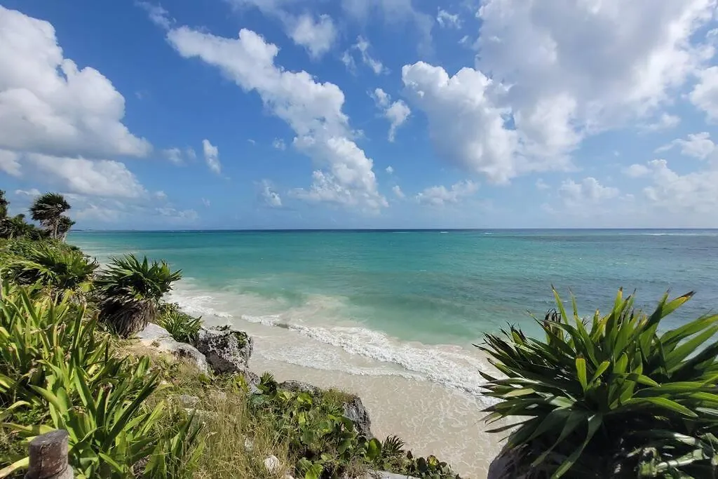 Jungle Loft With Confort And Luxury Tulum Pueblo Appartement